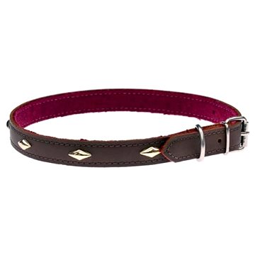 Cobbys Pet Obojek z pravé kůže hnědý, podšitý a zdobený zlatými kosočtverečky 20mm/40cm
Cobbys Pet Obojek z pravé kůže hnědý, podšitý a zdobený zlatými kosočtverečky 20mm/40cm