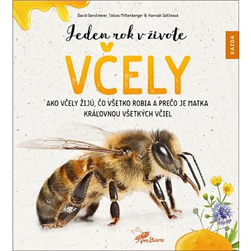 Jeden rok v živote včely: Ako včely žijú, čo všetko robia a prečo je matka kráľovnou všetkých včiel
Jeden rok v živote včely: Ako včely žijú, čo všetko robia a prečo je matka kráľovnou všetkých včiel