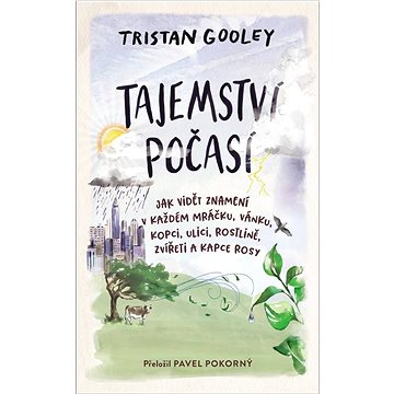 Tajemství počasí: Jak číst znamení skrytá v dešťových kapkách, kalužích a pampeliškách
Tajemství počasí: Jak číst znamení skrytá v dešťových kapkách, kalužích a pampeliškách