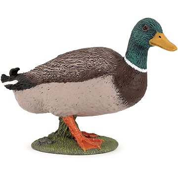 PAPO Divoká kachna
PAPO Divoká kachna