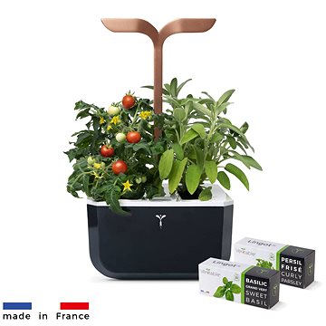 Véritable Exky SMART - Automatický květináč s regulací osvětlení, černá měděná + 2 bylinkové náplně
Véritable Exky SMART - Automatický květináč s regulací osvětlení, černá měděná + 2 bylinkové náplně