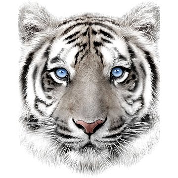 Obrázok Jerry Fabrics Detská deka White tyger, 120 x 150 cm