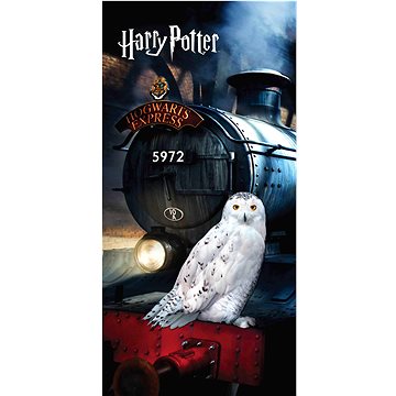 Obrázok Froté osuška Harry Potter 03 70x140 cm 100% bavlna Jerry Fabrics