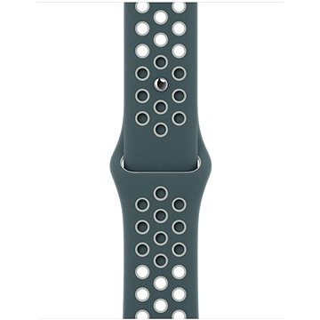 Obrázok Apple Watch 40mm Hasta / Light Silver sportovní řemínek Nike – standardní (MJ6G3ZM/A)