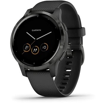 Obrázok Garmin vívoactive4S Gray/Black Band (010-02172-13)