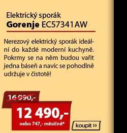 GORENJE EC57120AX 