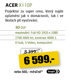 Acer X110P 