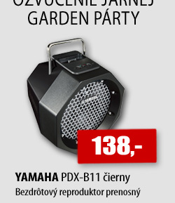 YAMAHA PDX-B11 
