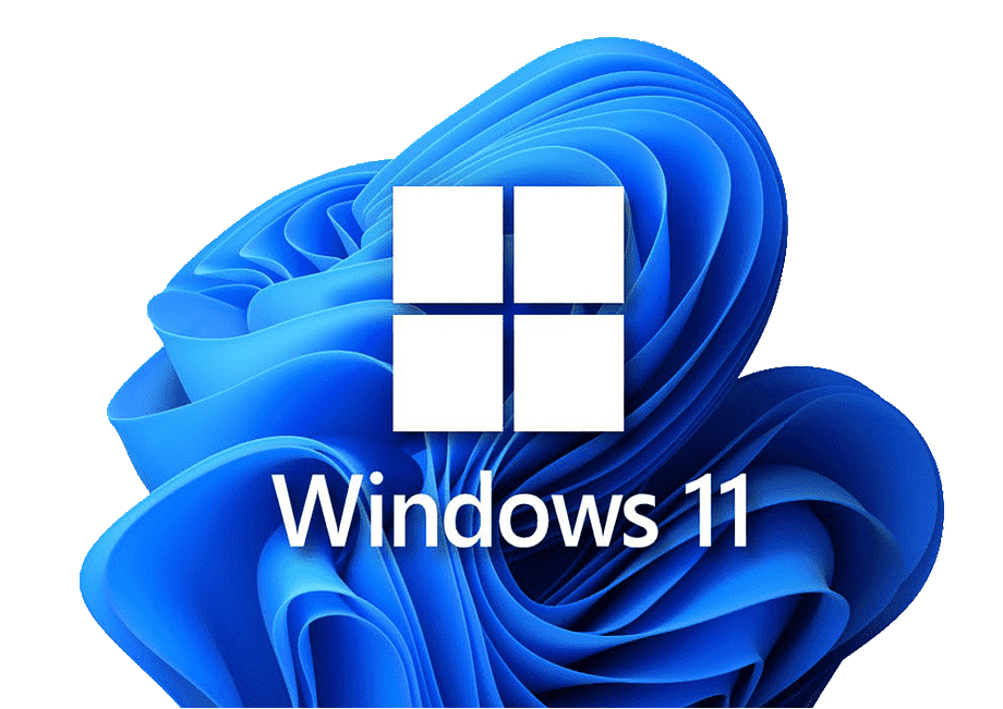 Windows 11
