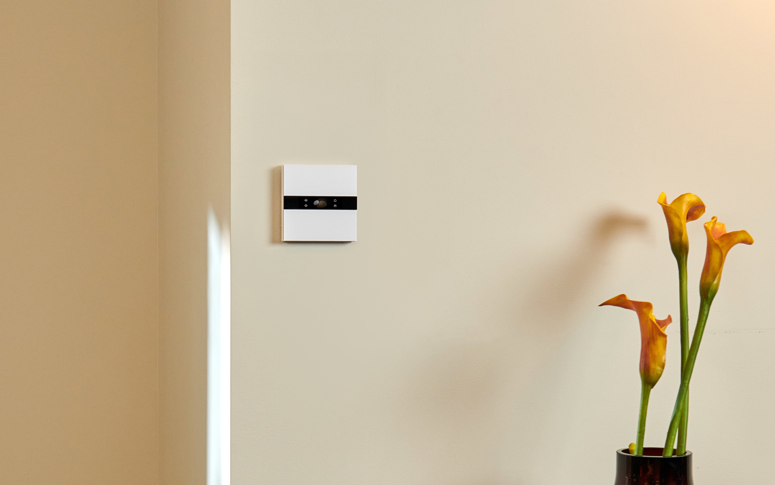 Vypínač AQARA Display Switch V1 (WS-K02D)