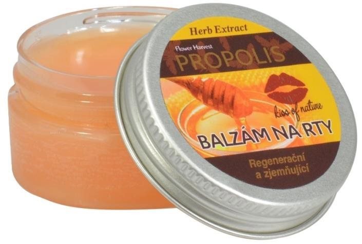 VIVACO Herb Extract - balzám na rty s Propolisem 25 g