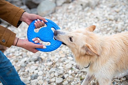 Lietajúci tanier pre psov Kiwi Walker Lietacia a plávacia frisbee z TPR peny 16 cm modrá