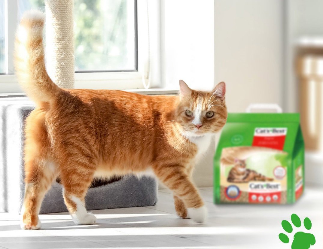 Stelivo pro kočky Cat's Best original 10 l / 4,3 kg