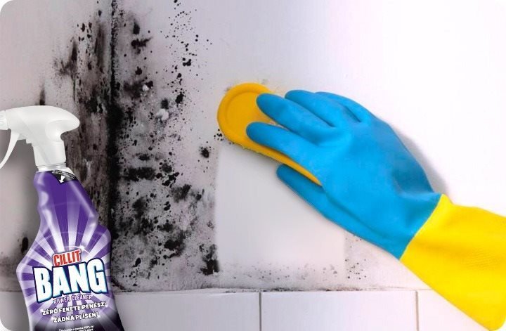 Odstraňovač plísní CILLIT BANG Spray Žádná plíseň 750 ml