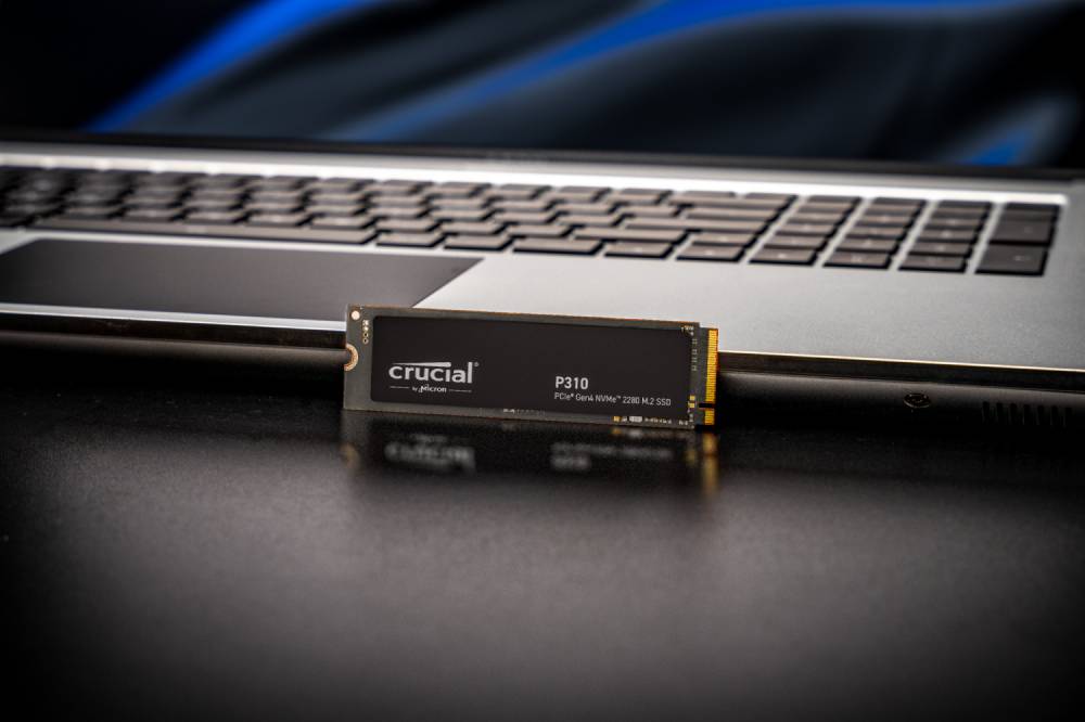 SSD disk Crucial P310
