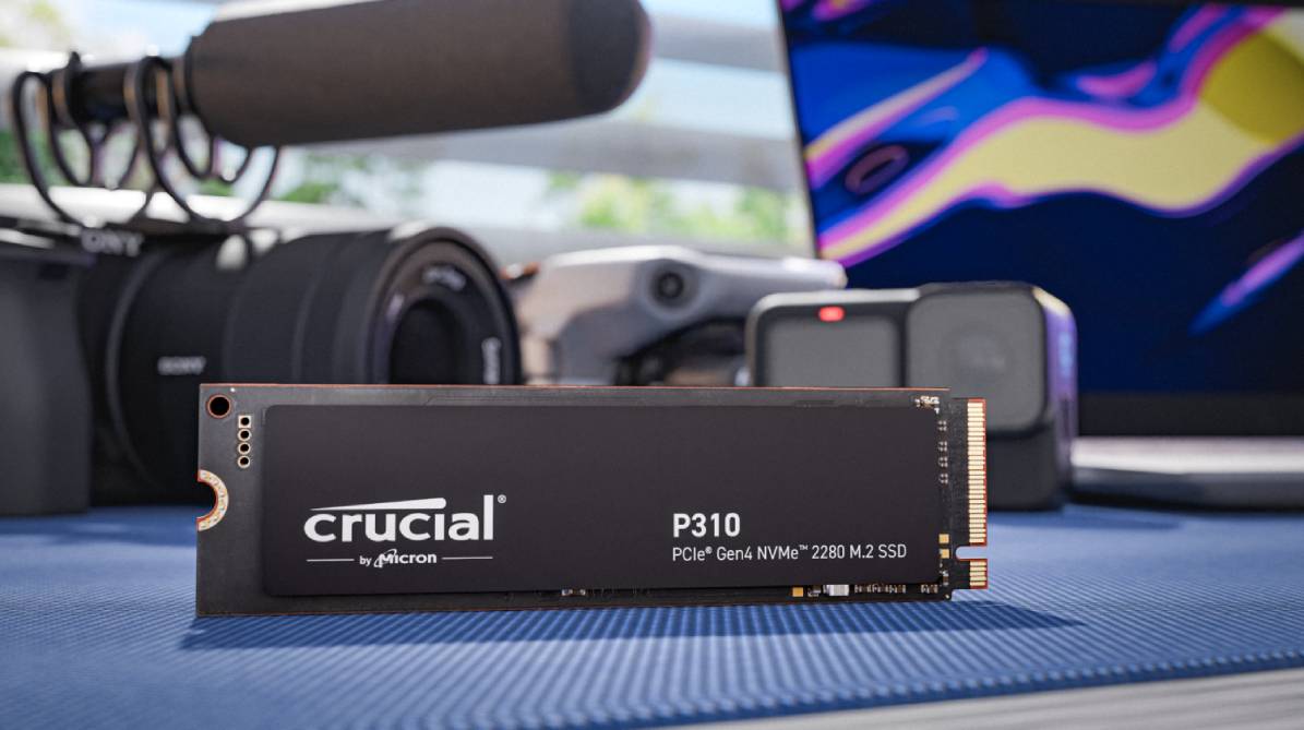 SSD disk Crucial P310