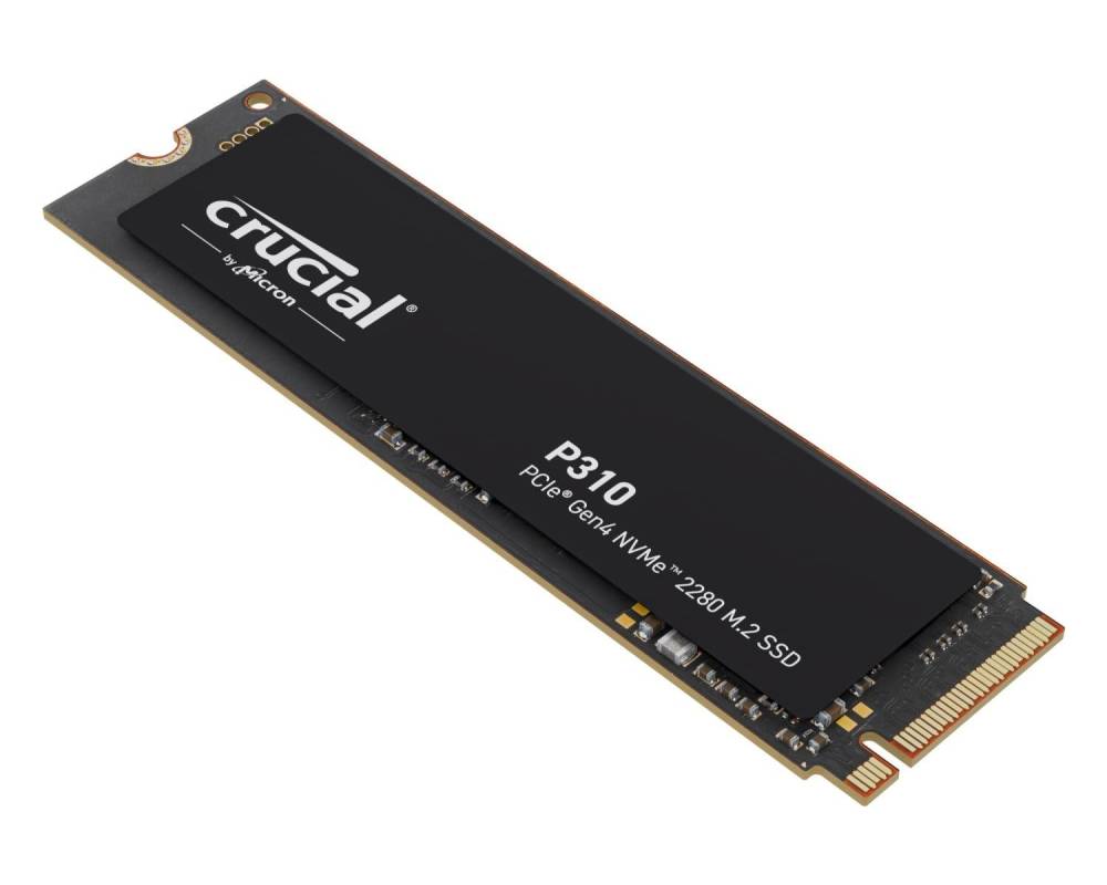 SSD disk Crucial P310
