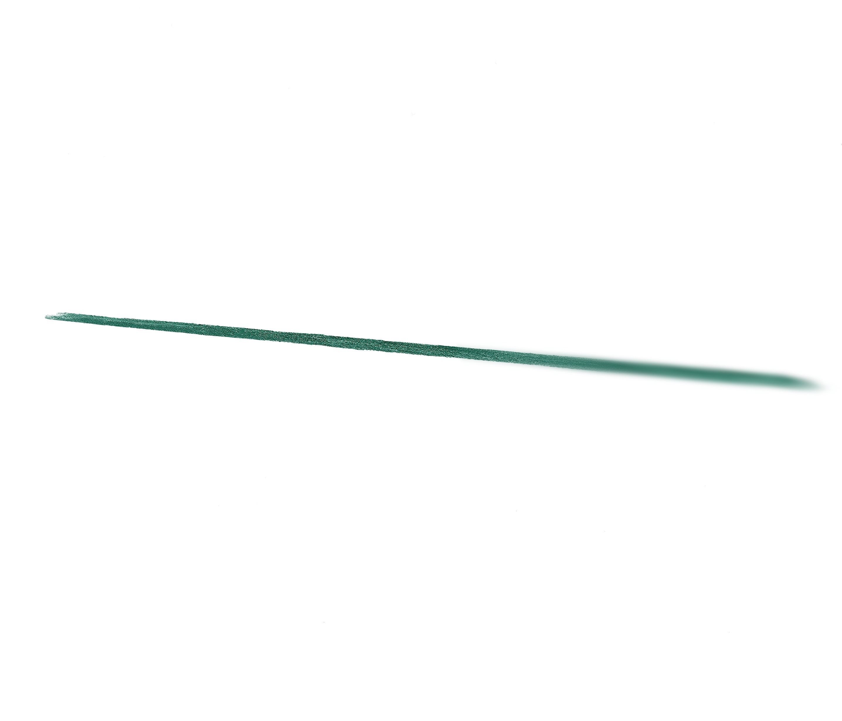 L'ORÉAL PARIS Infaillible Grip 36h Gel Automatic Liner Green
