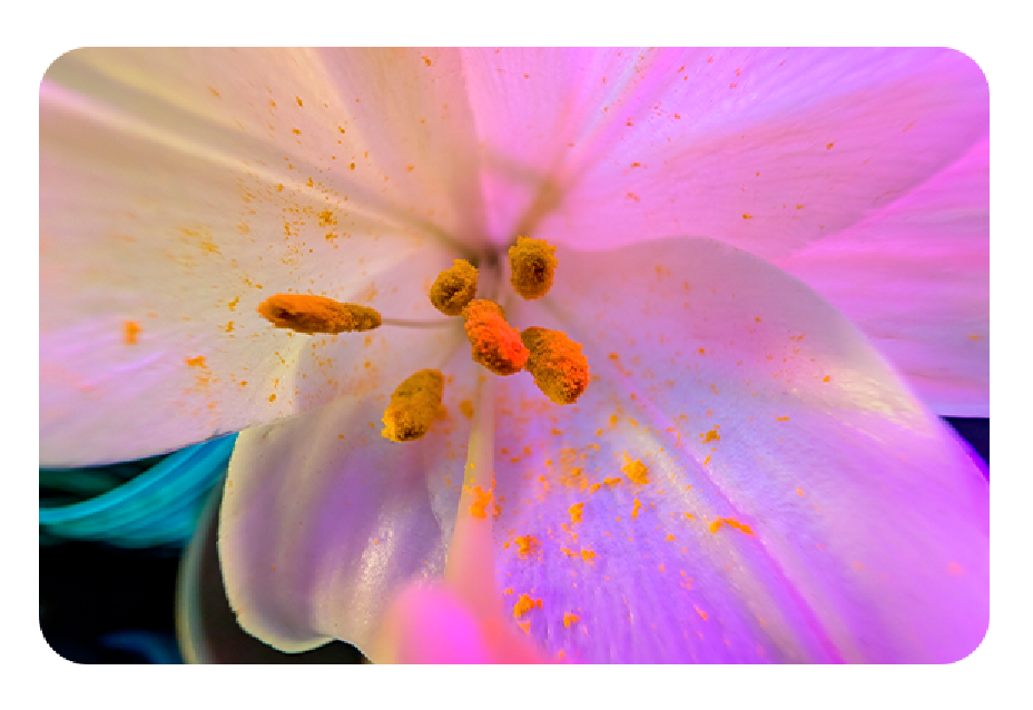 Smartfón Google Pixel 9 Pro