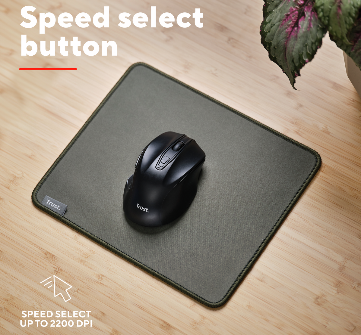 Trust NITO Silent Wireless Mouse egér