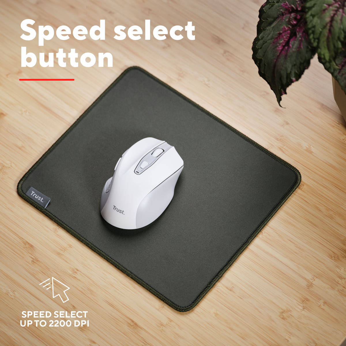 Trust NITO Silent Wireless Mouse White
