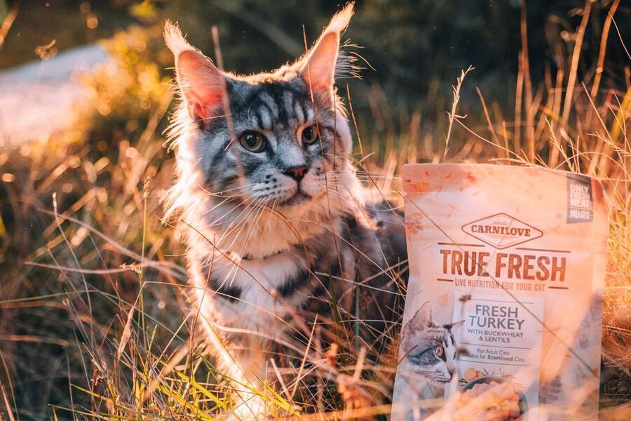 Granule pro kočky Carnilove True Fresh