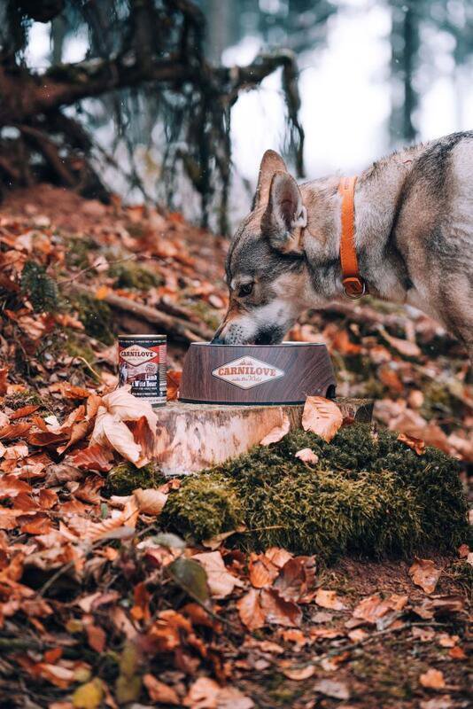 Konzerva pro psy Carnilove Wild Meat Jehněčí & Divočák 400 g