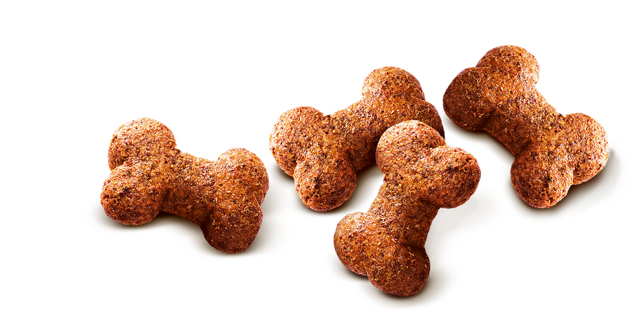 Pamlsky pro psy Carnilove Dog Crunchy Snack Lamb with Cranberries with Fresh Meat 200 g