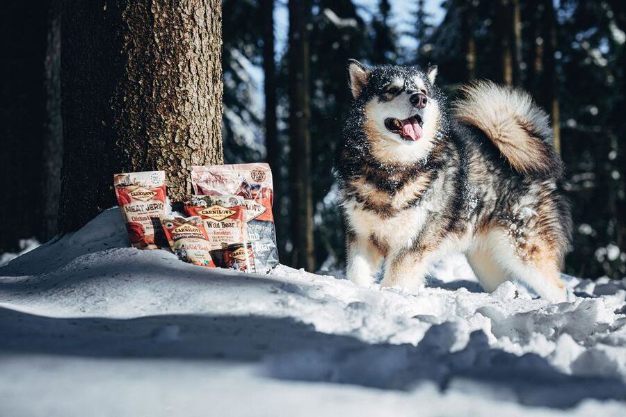 Pamlsky pro psy Carnilove dog crunchy snack wild boar with rosehips with fresh meat 200 g