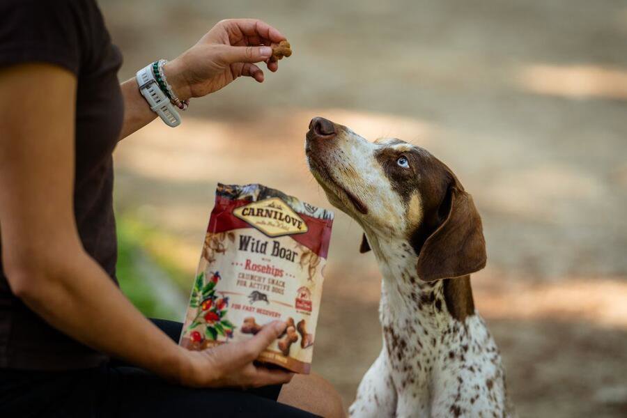 Pamlsky pro psy Carnilove dog crunchy snack wild boar with rosehips with fresh meat 200 g