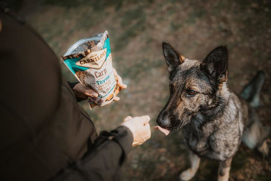 Carnilove dog semi moist snack carp enriched with thyme