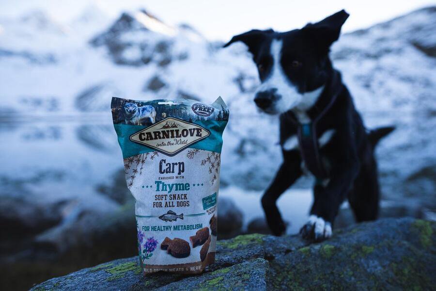 Carnilove dog semi moist snack carp enriched with thyme
