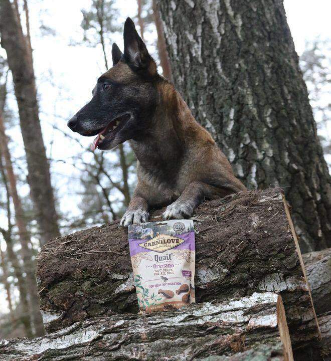 Pamlsky pro psy Carnilove dog semi moist snack quail enriched with oregano 200 g