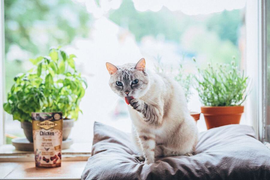 Pamlsky pro kočky Carnilove cat semi moist snack sardine enriched with parsley