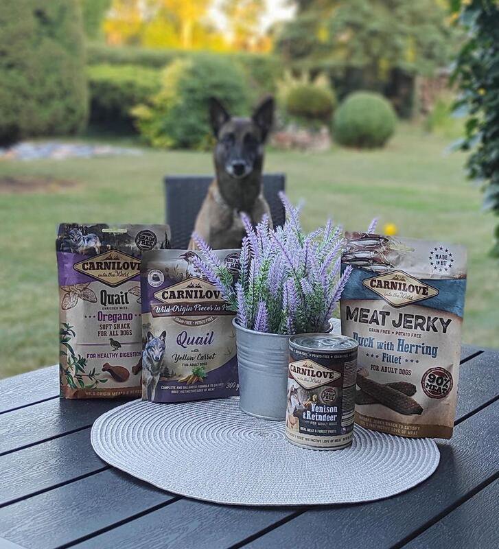 Kapsička pro psy Carnilove Dog Pouch Paté Pheasant with Raspberry Leaves 300 g
