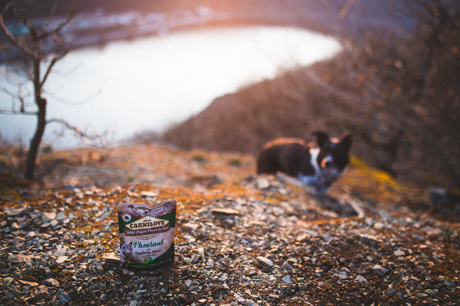 Kapsička pro psy Carnilove Dog Pouch Paté Pheasant with Raspberry Leaves 300 g