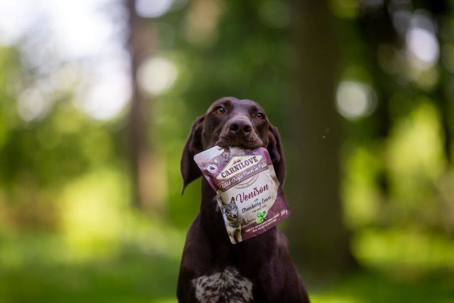 Kapsička pro psy Carnilove Dog Pouch Paté Venison with Strawberry Leaves 300 g