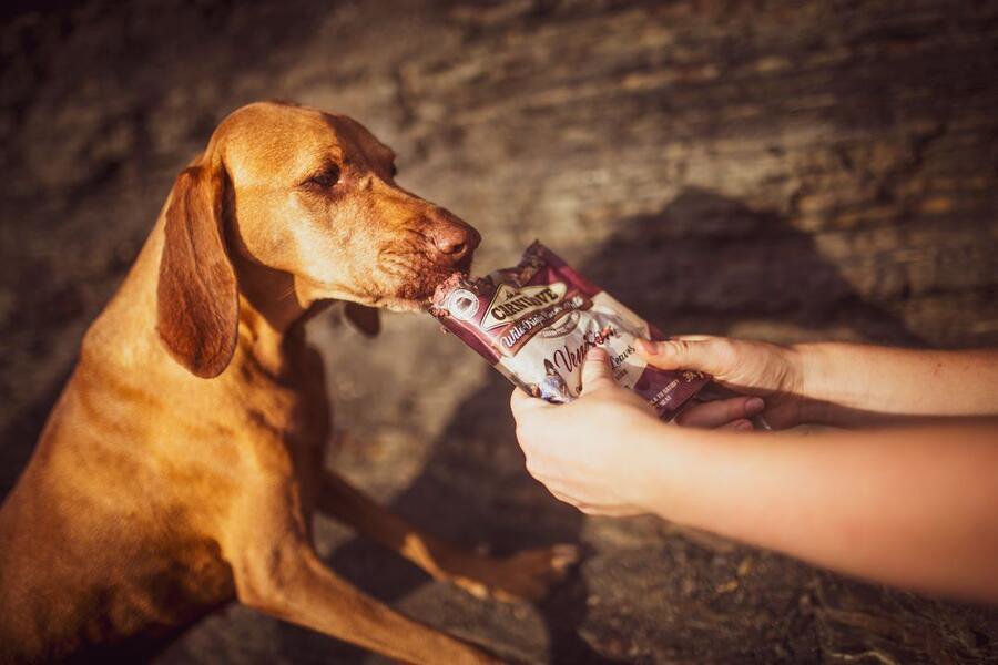 Kapsička pro psy Carnilove Dog Pouch Paté Venison with Strawberry Leaves 300 g