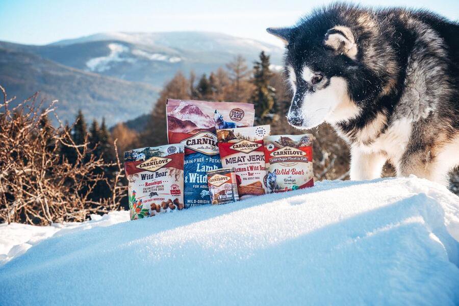 Kapsička pro psy Carnilove Dog Pouch Paté Wild Boar with Rosehips 300 g