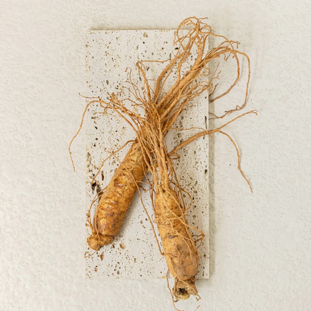 Opalovací krém BEAUTY OF JOSEON Ginseng Moist Sun Serum SPF50+