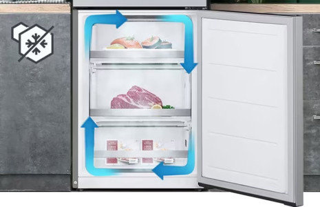 Lednice LG GBV3100AEP