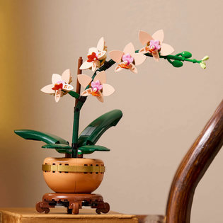 LEGO® Botanicals 10343 Miniatúrna orchidea