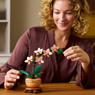 LEGO® Botanicals 10343 Miniatúrna orchidea