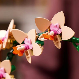 LEGO® Botanicals 10343 Miniatúrna orchidea