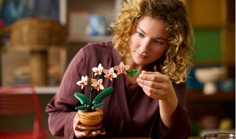 LEGO® Botanicals 10343 Miniatúrna orchidea