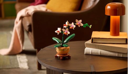LEGO® Botanicals 10343 Miniatúrna orchidea
