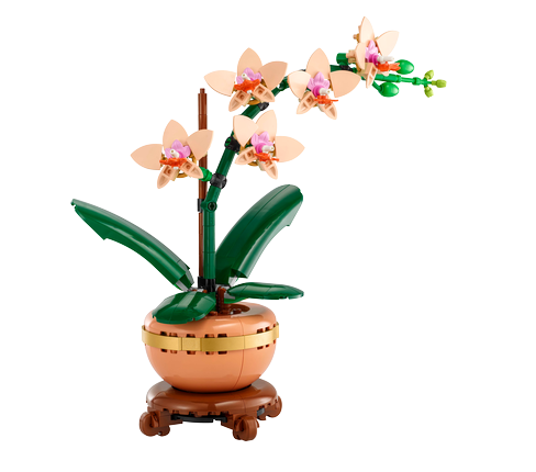 LEGO® Botanicals 10343 Miniatúrna orchidea