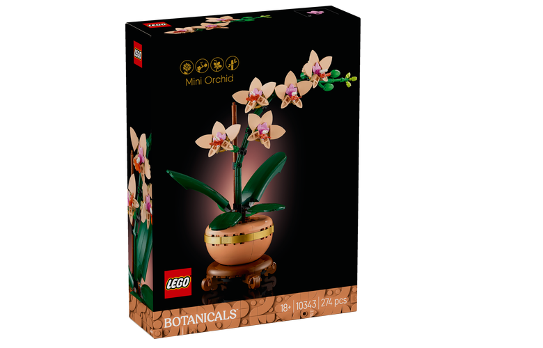LEGO® Botanicals 10343 Miniatúrna orchidea
