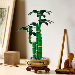 LEGO® Botanicals 10344 Bambusz boldogság