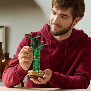 LEGO® Botanicals 10344 Bambusz boldogság